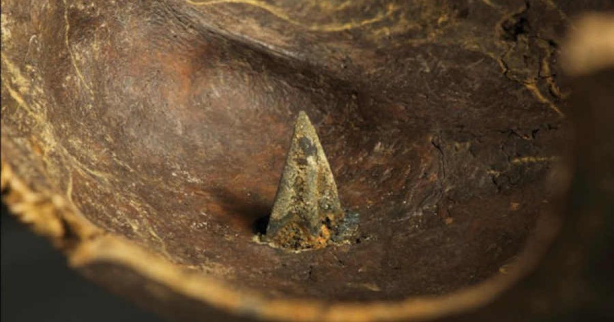 New Twist In ‘Europe’s Oldest Battle’ Gleaned From Bronze Age Arrowheads